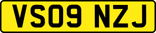 VS09NZJ