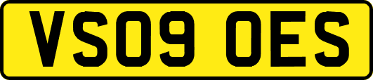 VS09OES