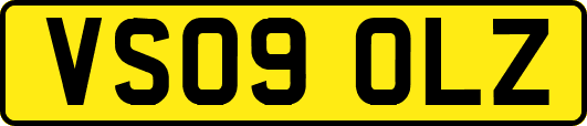VS09OLZ