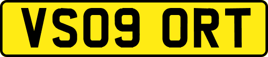 VS09ORT