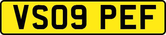 VS09PEF