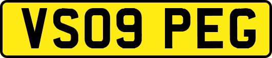 VS09PEG