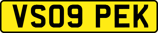 VS09PEK