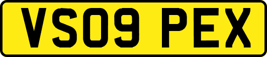 VS09PEX