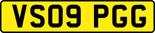 VS09PGG