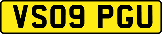 VS09PGU
