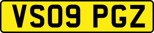 VS09PGZ