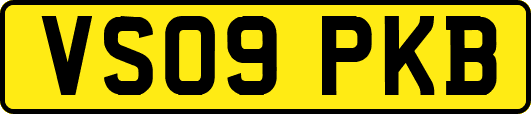 VS09PKB