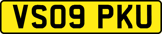 VS09PKU