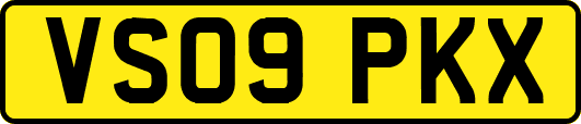 VS09PKX