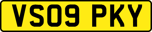 VS09PKY