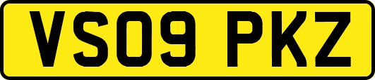 VS09PKZ