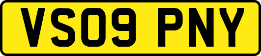 VS09PNY