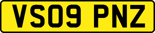 VS09PNZ