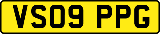 VS09PPG