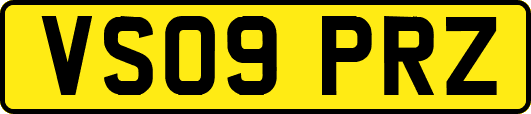 VS09PRZ