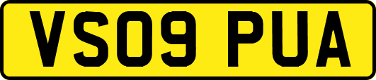 VS09PUA