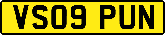 VS09PUN