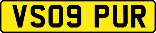 VS09PUR