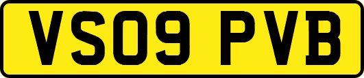 VS09PVB