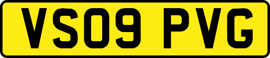 VS09PVG