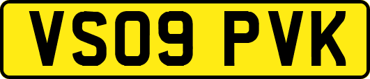 VS09PVK