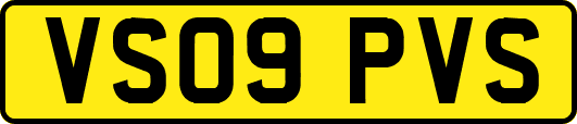 VS09PVS