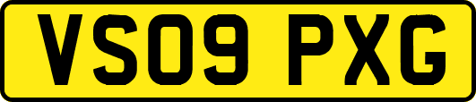 VS09PXG