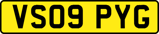 VS09PYG