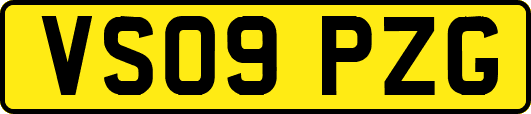 VS09PZG