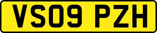 VS09PZH