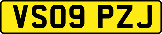 VS09PZJ