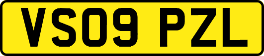 VS09PZL