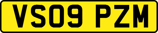 VS09PZM