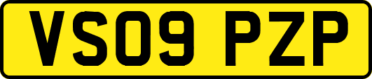 VS09PZP
