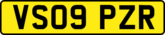 VS09PZR