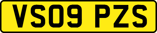 VS09PZS