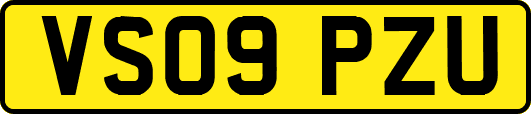 VS09PZU