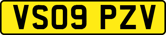 VS09PZV