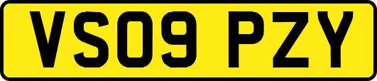 VS09PZY