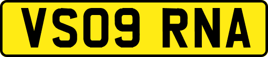 VS09RNA