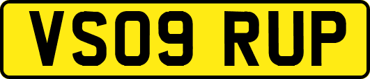 VS09RUP