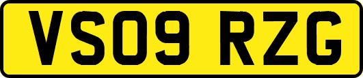 VS09RZG