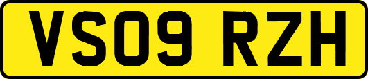 VS09RZH