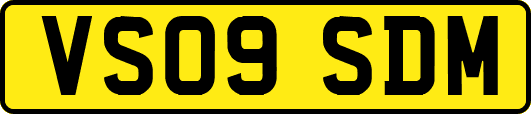 VS09SDM