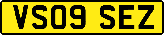 VS09SEZ