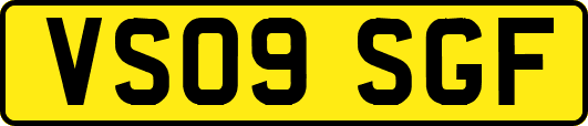 VS09SGF