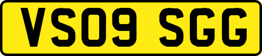VS09SGG