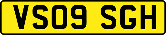 VS09SGH