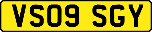 VS09SGY